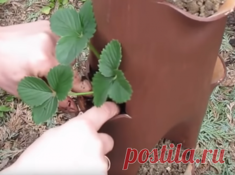 КРУТАЯ САМОДЕЛКА из канализационной трубы для САДА! Простые, но гениальные идеи! Часть 3 | Секреты строительства | Яндекс Дзен