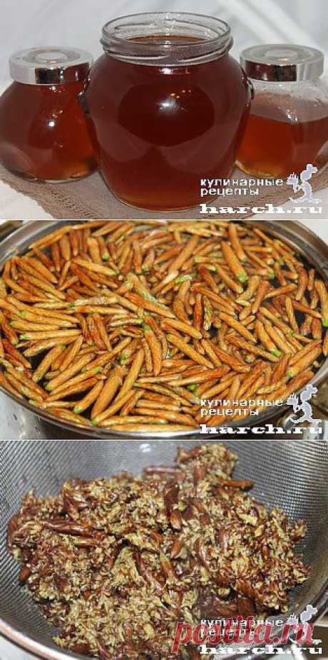 Боров мед (сосновый сироп) | Харч.ру - рецепты для любителей вкусно поесть