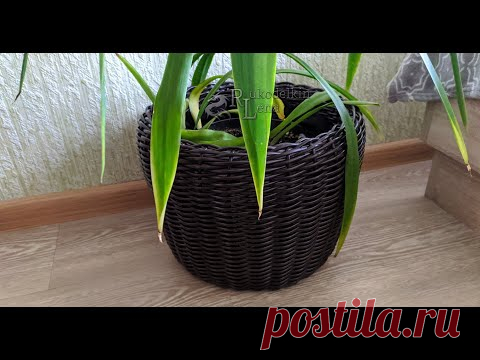 кашпо