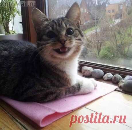 Доброе утро!