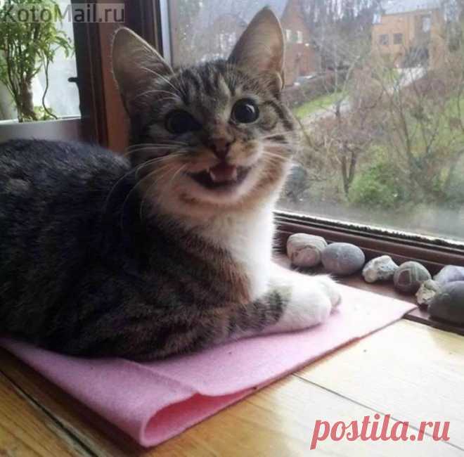 Доброе утро!