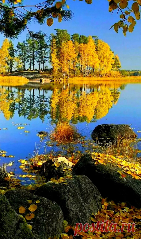 Google+