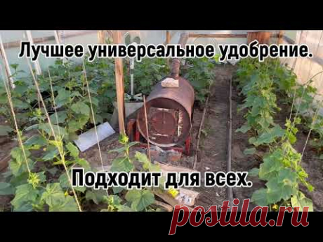 Чем подкормить томаты ,огурцы ,перцы?УНИВЕРСАЛЬНОЕ  УДОБРЕНИЕ В КОТОРОМ ЕСТЬ ВСЁ.
