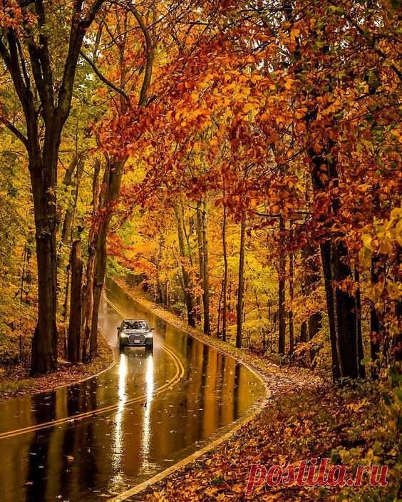 Pinterest