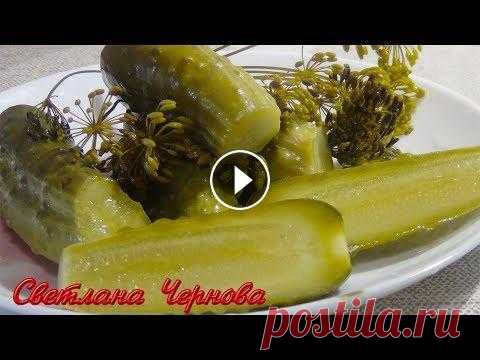 Малосольные огурцы.Очень Хрустящие. За Сутки !!! /Lightly salted cucumber. Через сутки имеем уже необычайно вкусные огурчики Продукты огурцы.........1 кг укроп с зонтиками........3-5..шт лист хрена............3 шт листья вишн...