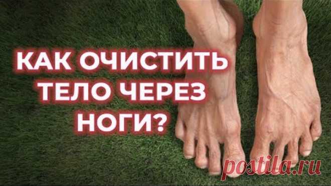 Делайте это с ногами каждое утро - и проживете 100 лет / Секрет алтайских долгожителей