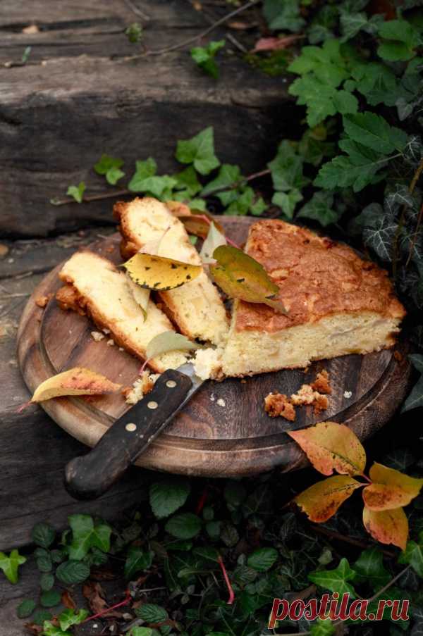 Яблочно-грушевая шарлотка Симоны