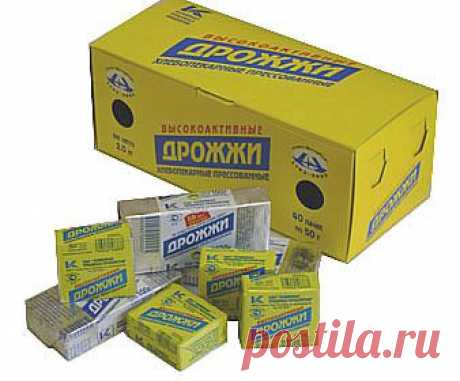 Судороги икроножных мышц и скорая помощь при судорогах.