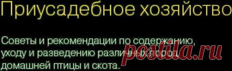 Своя ферма