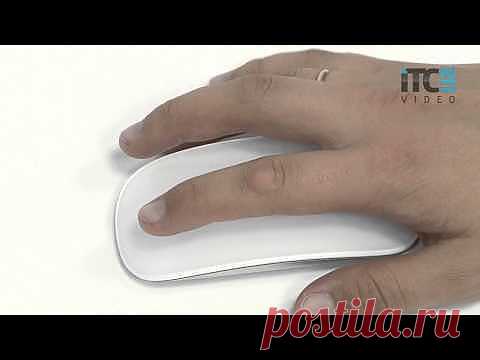 Беспроводная мышь Apple Magic Mouse
Теперь с помощью жестов можно управлять и настольным компьютером, используя принципиально новую мышь — Magic Mouse, первую в мире мышь Multi–Touch.