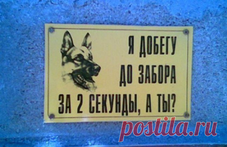 Новости