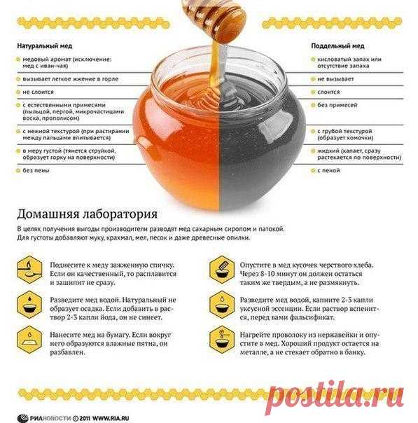 Медовые секреты - как отличить натуральный мед от разведенного?