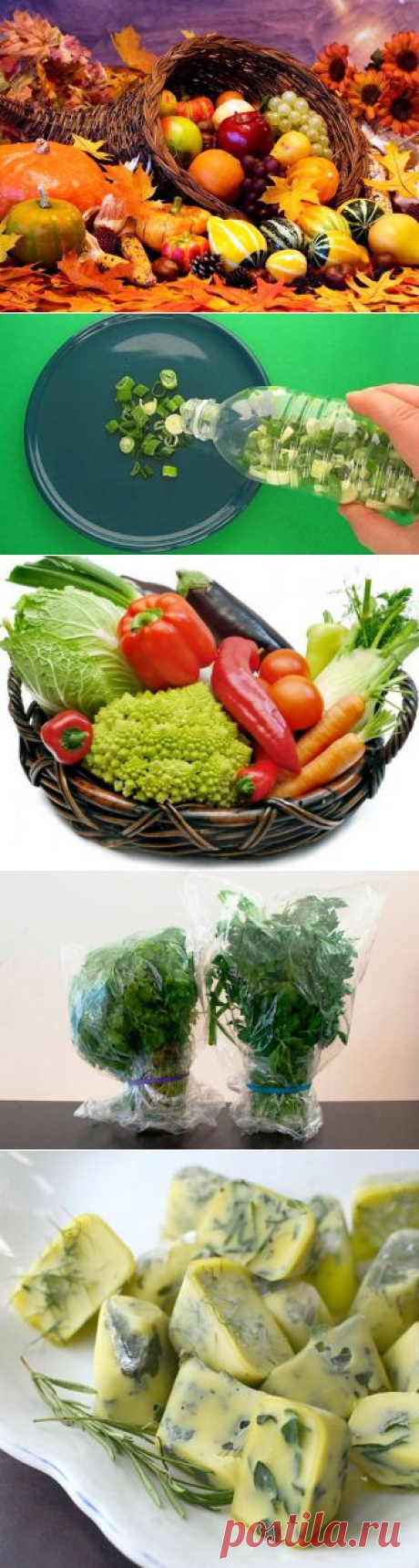 (+1) тема - Простые хитрости, которые помогут сохранить продукты осеннего урожая зимой | МОЙ ДОМ
