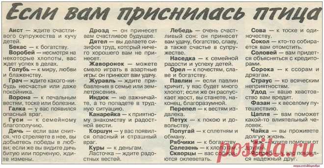 Если вам приснилась птица