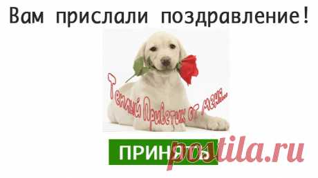 Желаю тебе удачи и везения. — Бесплатные поздравления