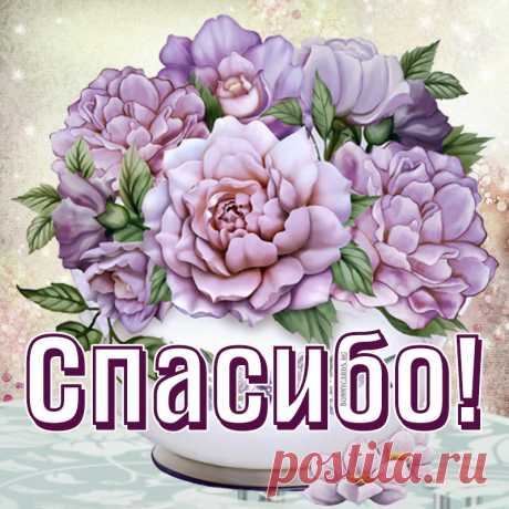 Милая картинка спасибо с сиреневыми цветами