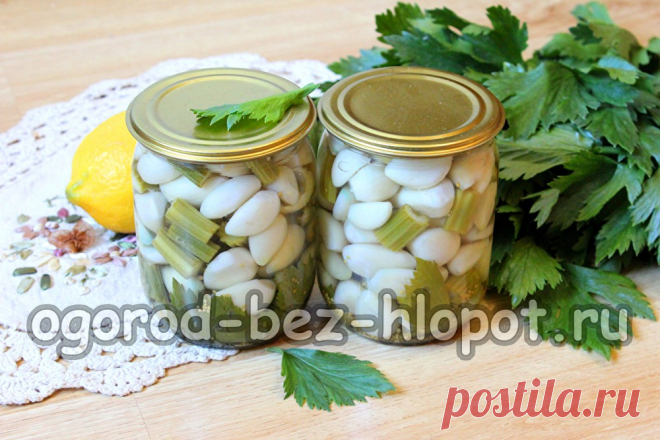 Бесподобный маринованный чеснок на зиму — простой, но очень вкусный рецепт