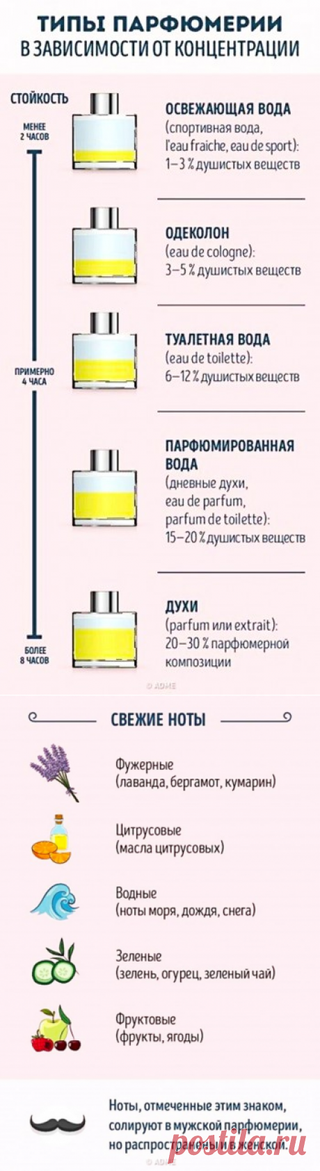 Руководство для тех, кто хочет разбираться в парфюме