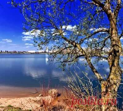 Киномузыкальный проект иНаЧе ✰ Природа, животные, растения и др | Группы Мой Мир