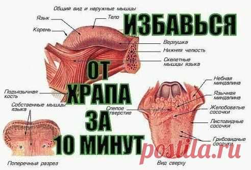 КАК ЗА 10 МИНУТ ИЗБАВИТЬСЯ ОТ ХРАПА НАДОЛГО!