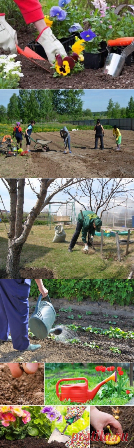 Лунный посевной календарь на апрель 2019 года садовода и огородника таблица