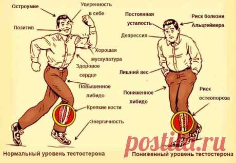 Как повысить тестостерон у мужчин естественными способами | Сами Доктора