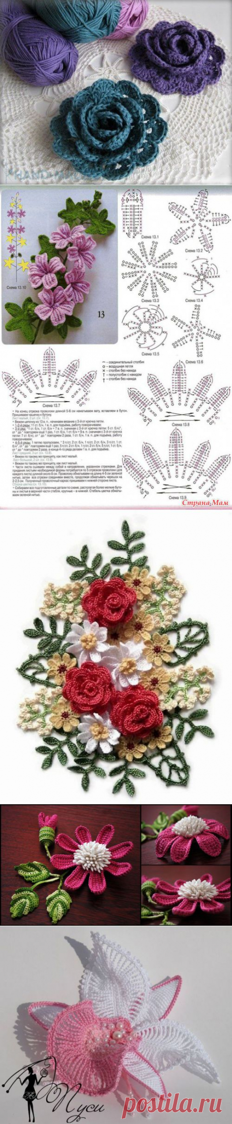 Цветы | Записи в рубрике Цветы | Дневник Macyutka