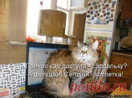 Новая смешная котоматрица