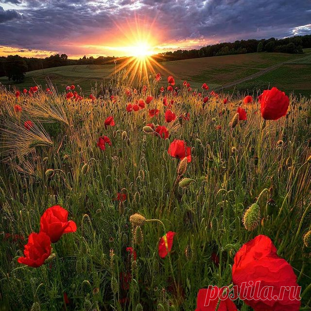 Photo shared by ВОКРУГ СВЕТА on June 18, 2021 tagging @felixinden. May be an image of flower, nature and sky. #felipeinden #gardendesign #trees #wood #architecture #pastel #lighthouse #lighting
Просматривайте этот и другие пины на доске Architectuur пользователя Inga Nesterova.
Теги
Photo shared by ВОКРУГ СВЕТА (@vokrugsveta) on June 11, 2018 to 10:56.
Was appeared first on Design & Architecture at Design & Architecture.