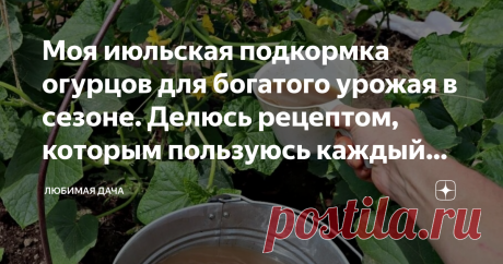 Моя июльская подкормка огурцов для богатого урожая в сезоне. Делюсь рецептом, которым пользуюсь каждый год У многих огородников огурцы начинают обильно плодоносить уже в начале июля, поэтому в это время важно уделить растениям немного внимания, чтобы получить хороший урожай - я в этот период обязательно вношу подкормки.
В результате этого листья растений сохраняют насыщенный зеленый цвет, цветочки не опадают, а завязи активно формируются.
Огурцы очень требовательны к услов...