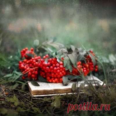 Ищите женщину. А найдете-не жалуйтесь...