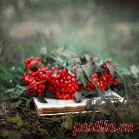 Ищите женщину. А найдете-не жалуйтесь...