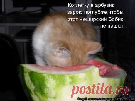 (1) Фото Хроники - Лидия Березовская