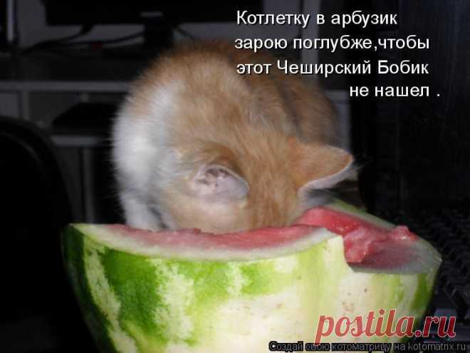 (1) Фото Хроники - Лидия Березовская