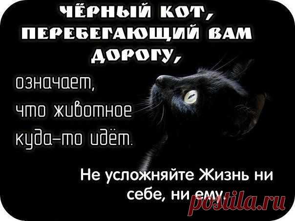 Женские мысли