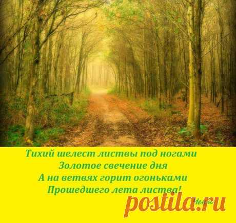 Продолжение лета | О сокровенном и прекрасном | Группы Мой Мир