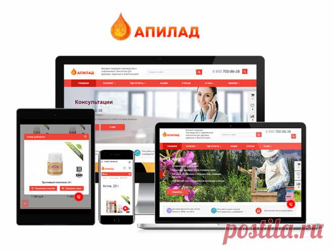 DATAKIT: разработка и продвижение сайтов
