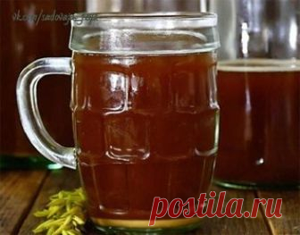 10 вкуснейших супер - рецептов домашнего кваса источник САДОВАЯ ФЕЯ - Дача. Сад и Огород

10 вкуснейших супер - рецептов домашнего квасаРецепт кваса ржаного_____________________________________________________ На 3 литра воды: ржаные сухари – 1 кг…