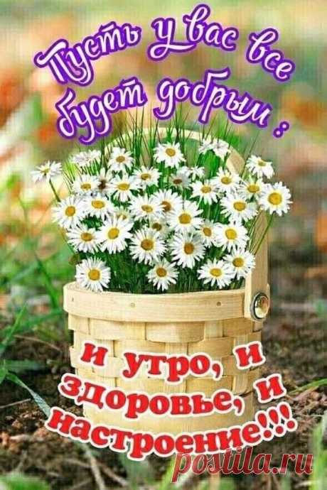 Проснулись? Улыбнитесь новому дню ! Доброе утро, друзья !