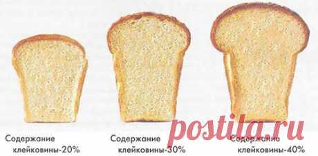 Клейковина пшеничной муки.