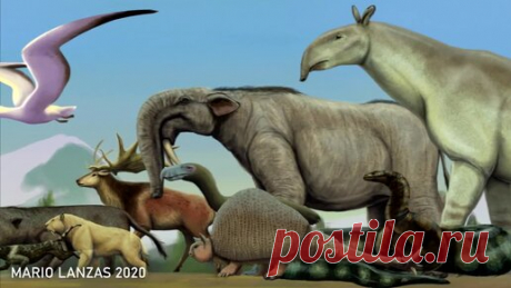 Размеры животных кайнозойской эры. Приятного просмотра! | Paleo-end-arthropods (Доисторическая фауна и членистоногие) | Дзен