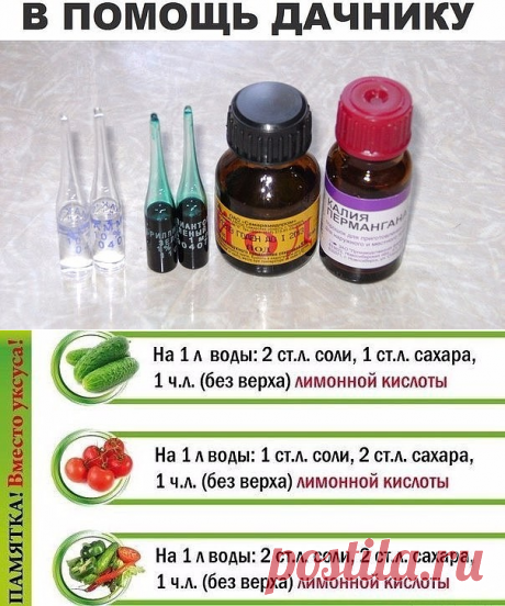 (3) Одноклассники