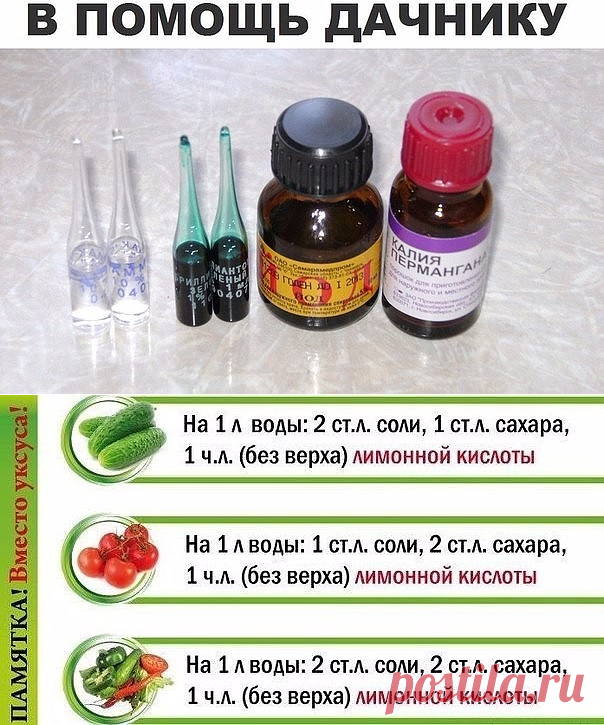 (3) Одноклассники