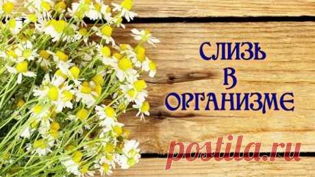 Слизь в организме. Откуда берётся, чем опасна и как выводить?
