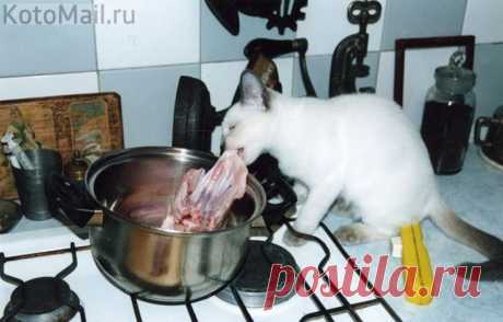 голод
