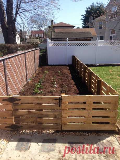 Nowadays, pallets really can be sued for everything. From furniture to artwork and even garden fences. This one is a low built fence to protect the modest vegetable patch, but it works. Even the gate was made from recycled pallets. And why not? The wood is perfectly reusable, and works great. #garden_fence_spaces