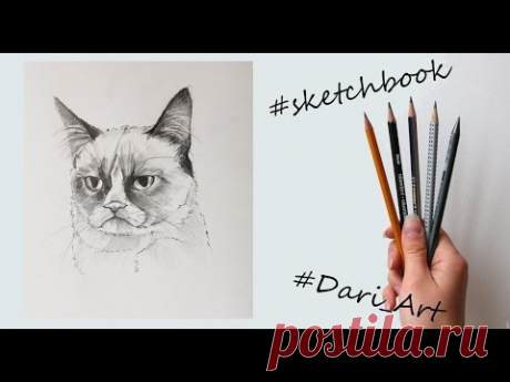 Рисуем скетчи! Угрюмый кот простым карандашом! #Dari_Art