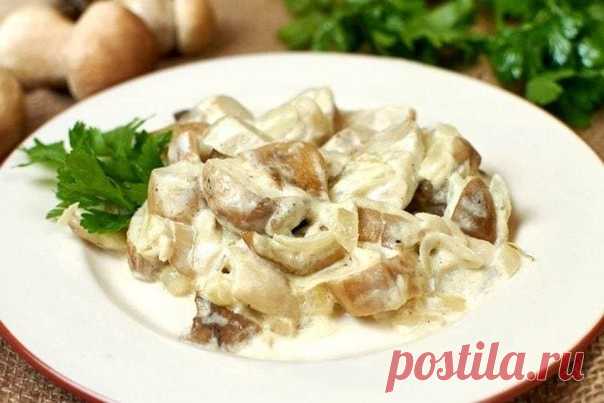Белые грибы в сметане
Белые грибы особенно распространены в Карпатах и часто используются в западноукраинской кухне.

Тебе понадобится:
700 г белых грибов,
Показать полностью...