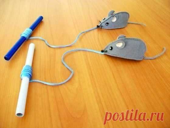 Интересные новости