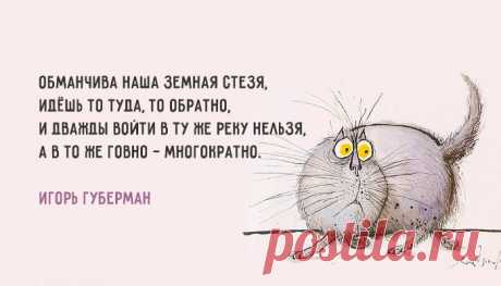 Когда нас учит жизни кто-то, я весь немею; житейский опыт идиота я сам имею.
